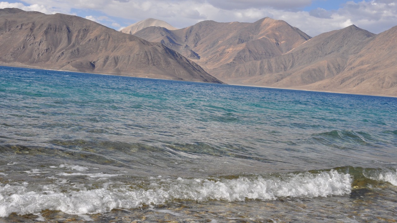 Photo of Others in Leh