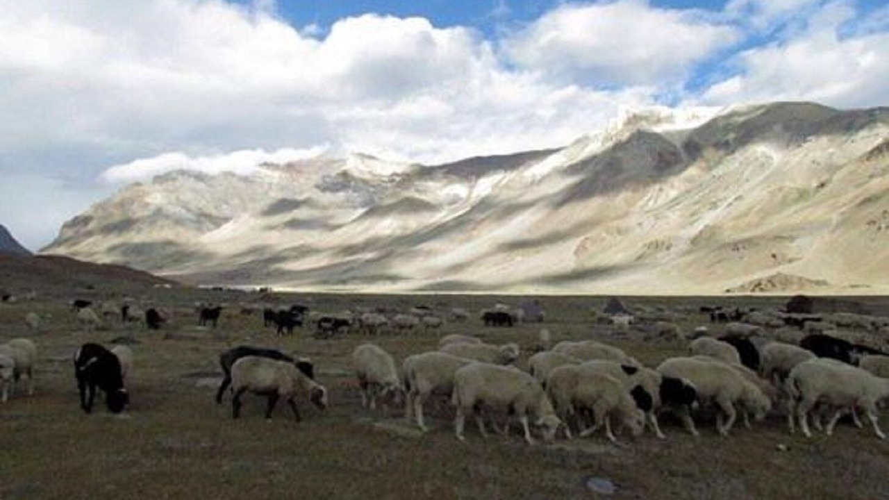 Photo of Outdoor in Sarchu