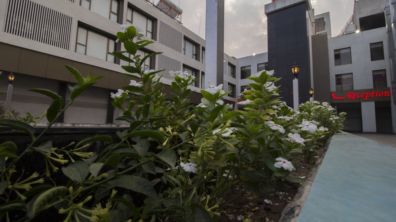 Photo of Outdoor in Shirdi