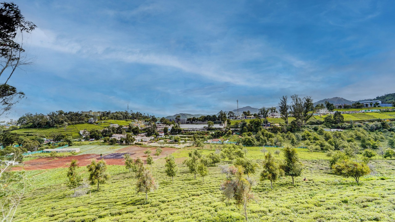 Photo of Others in Kotagiri