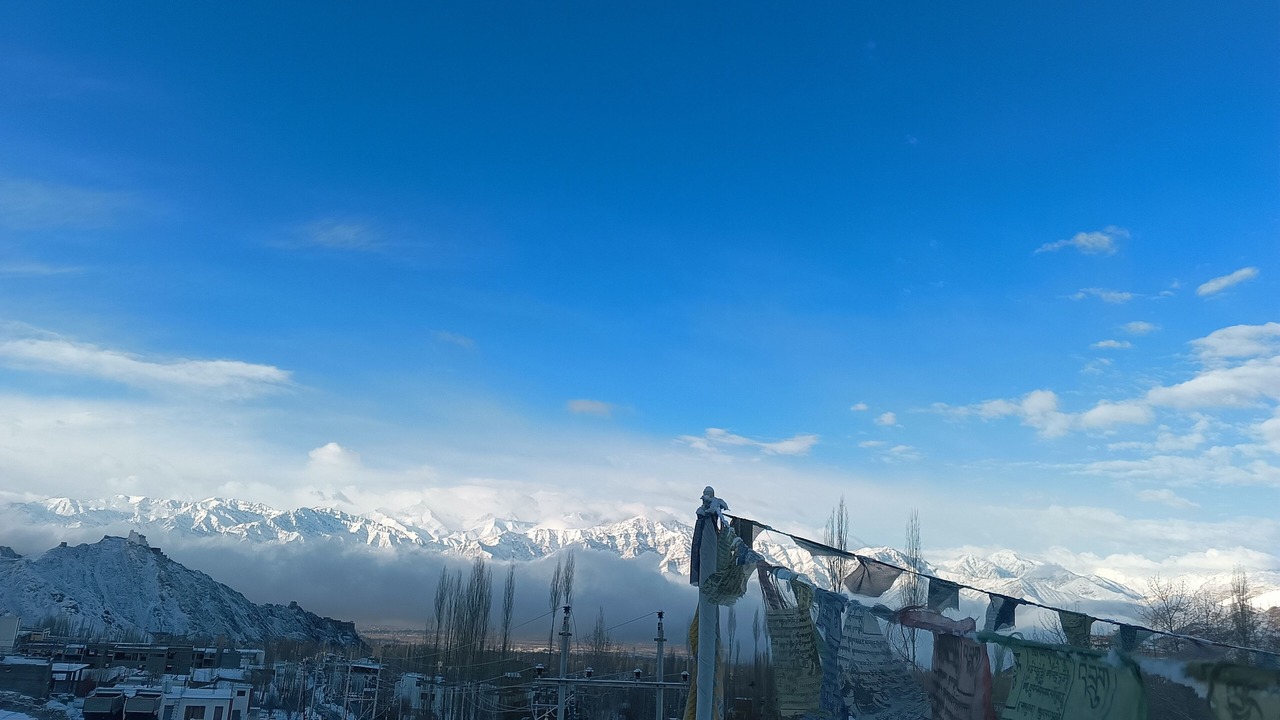 Photo of Others in Leh