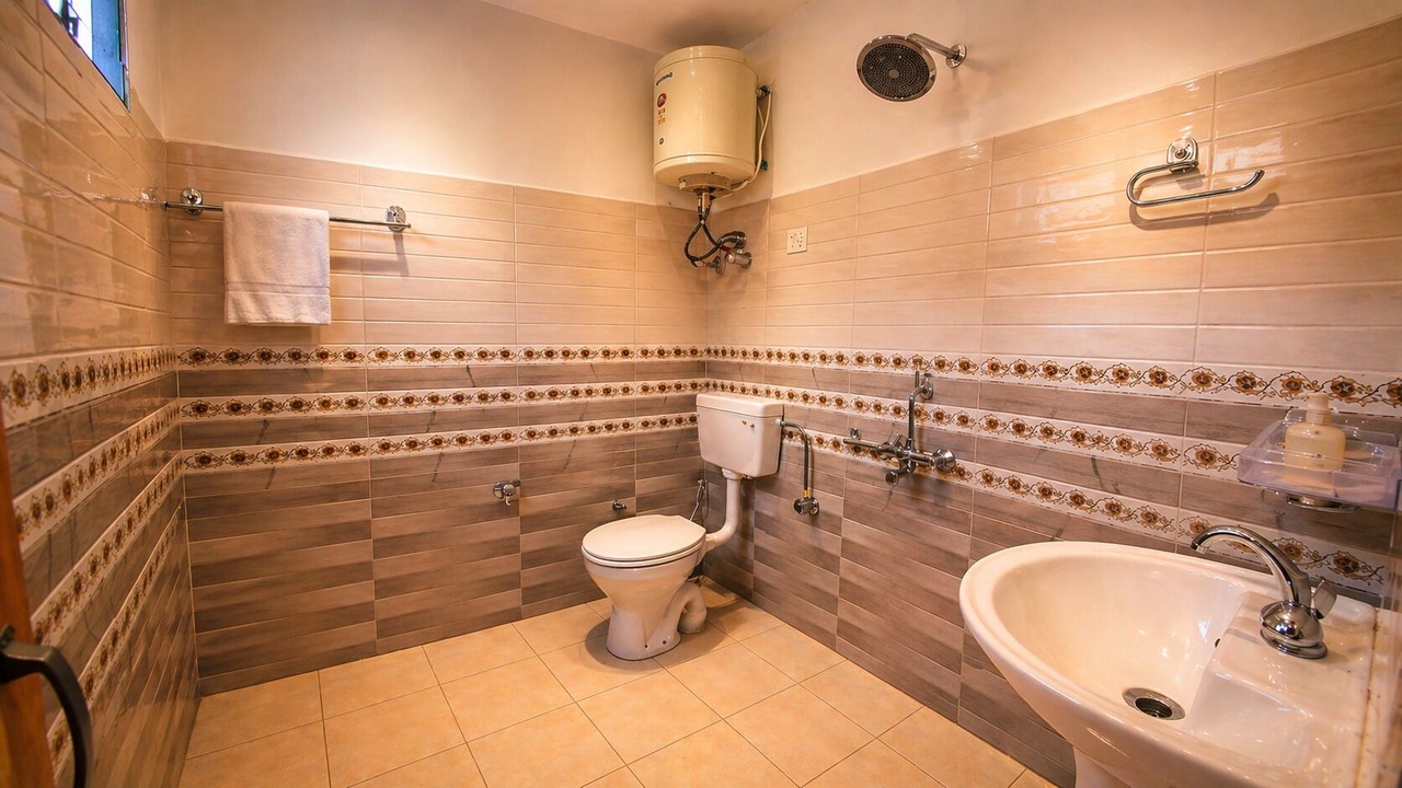 Photo of Bathroom in Spiti