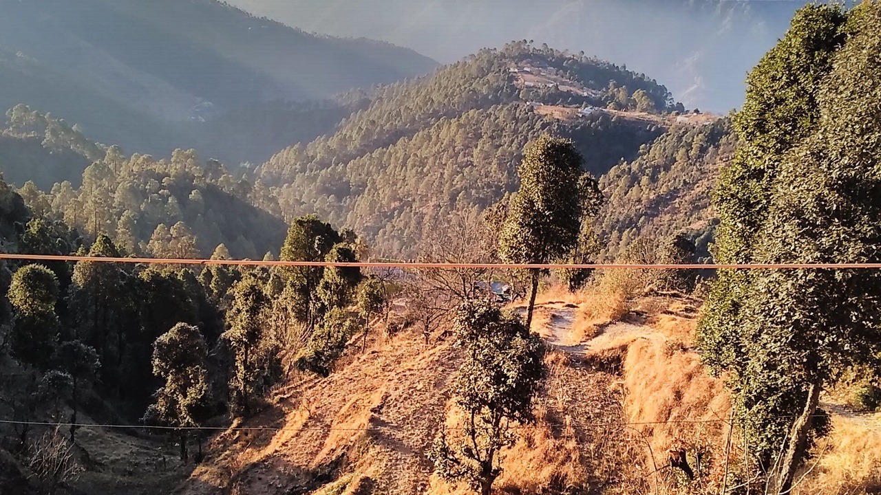 Photo of Others in Kanatal