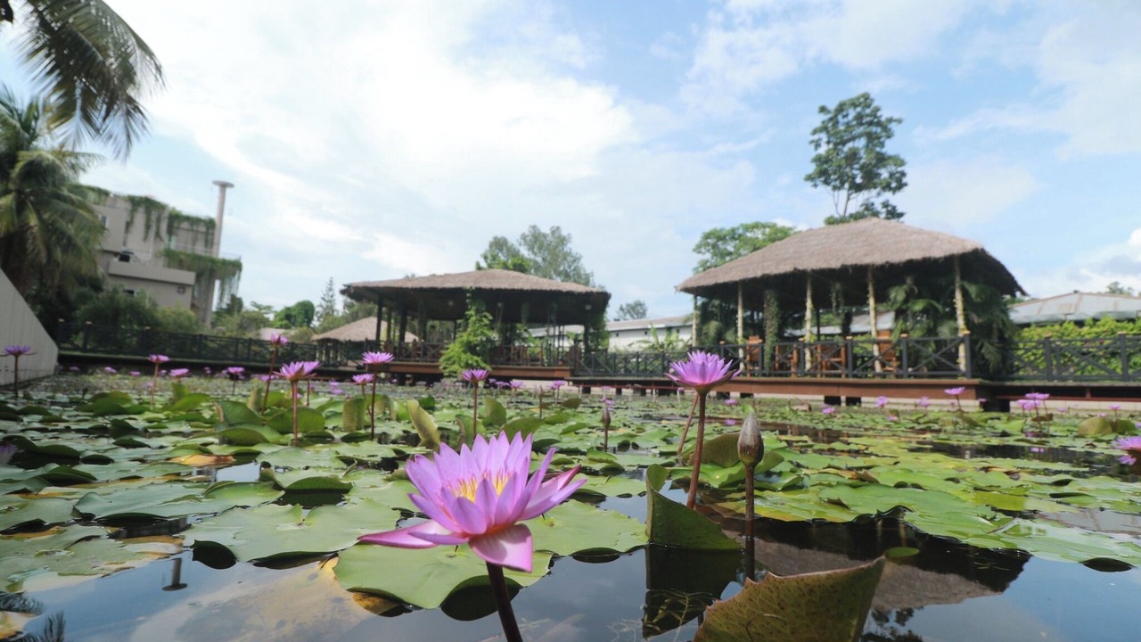 Photo of Outdoor in Bangladesh