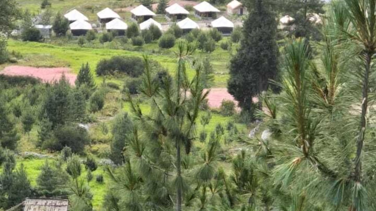 Photo of Outdoor in Sangla