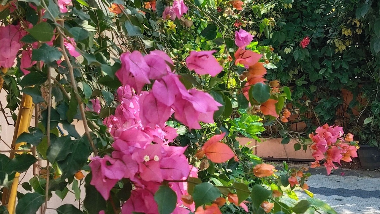 Photo of Outdoor in Kumily