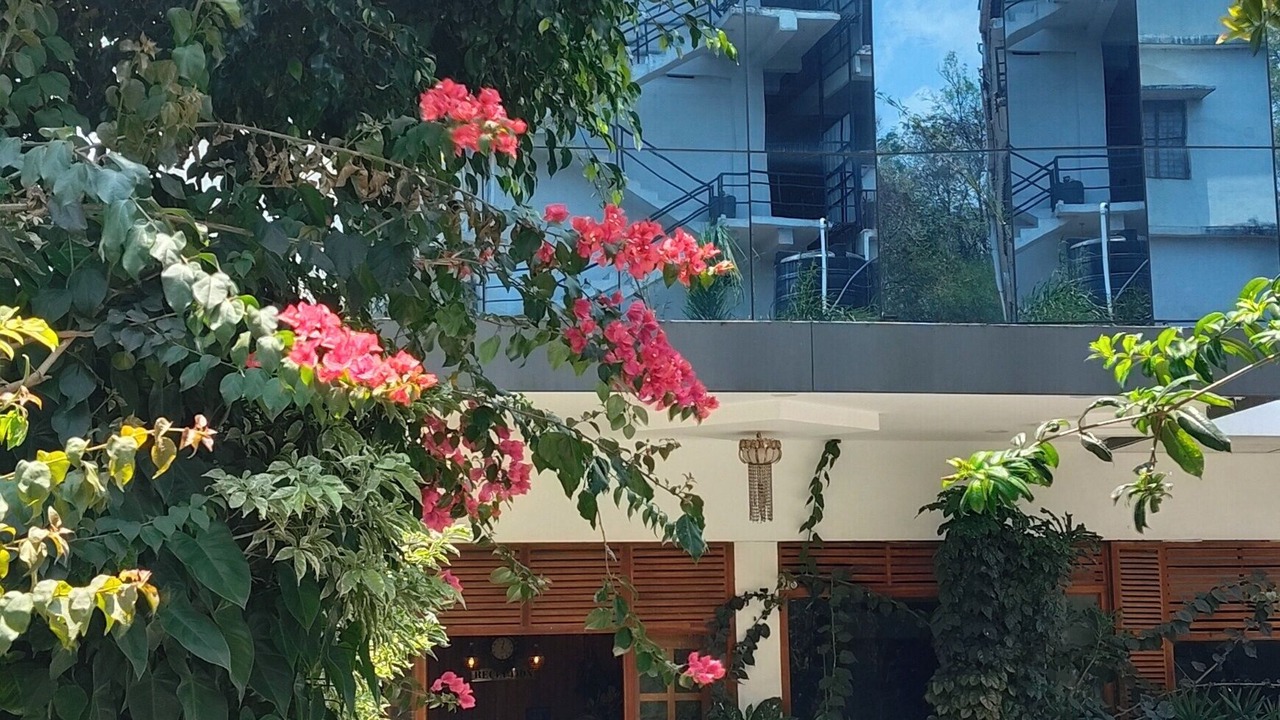 Photo of Outdoor in Kumily