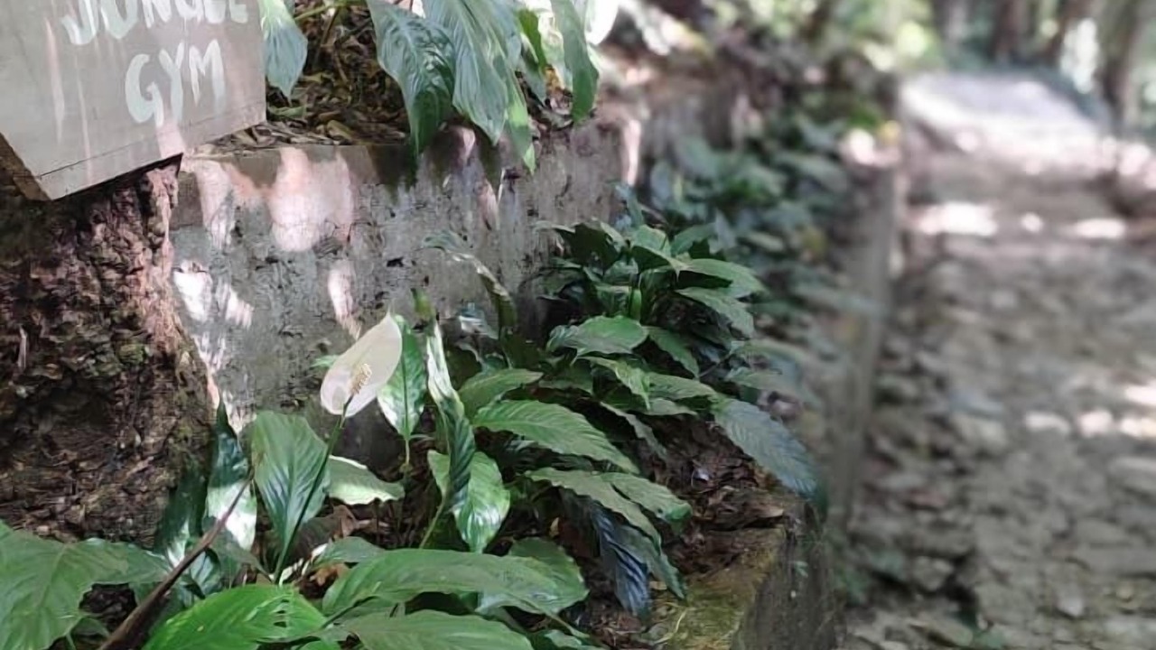Photo of Outdoor in Turuk