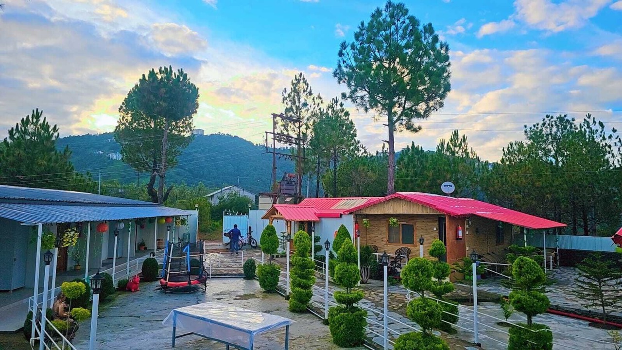 Photo of Others in Shimla