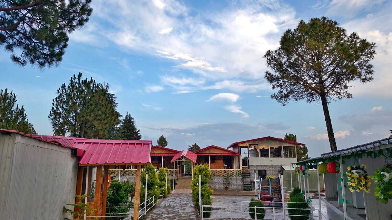 Photo of Others in Shimla