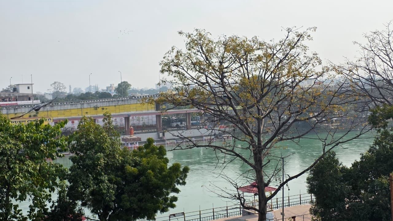 Photo of Outdoor in Mayapur