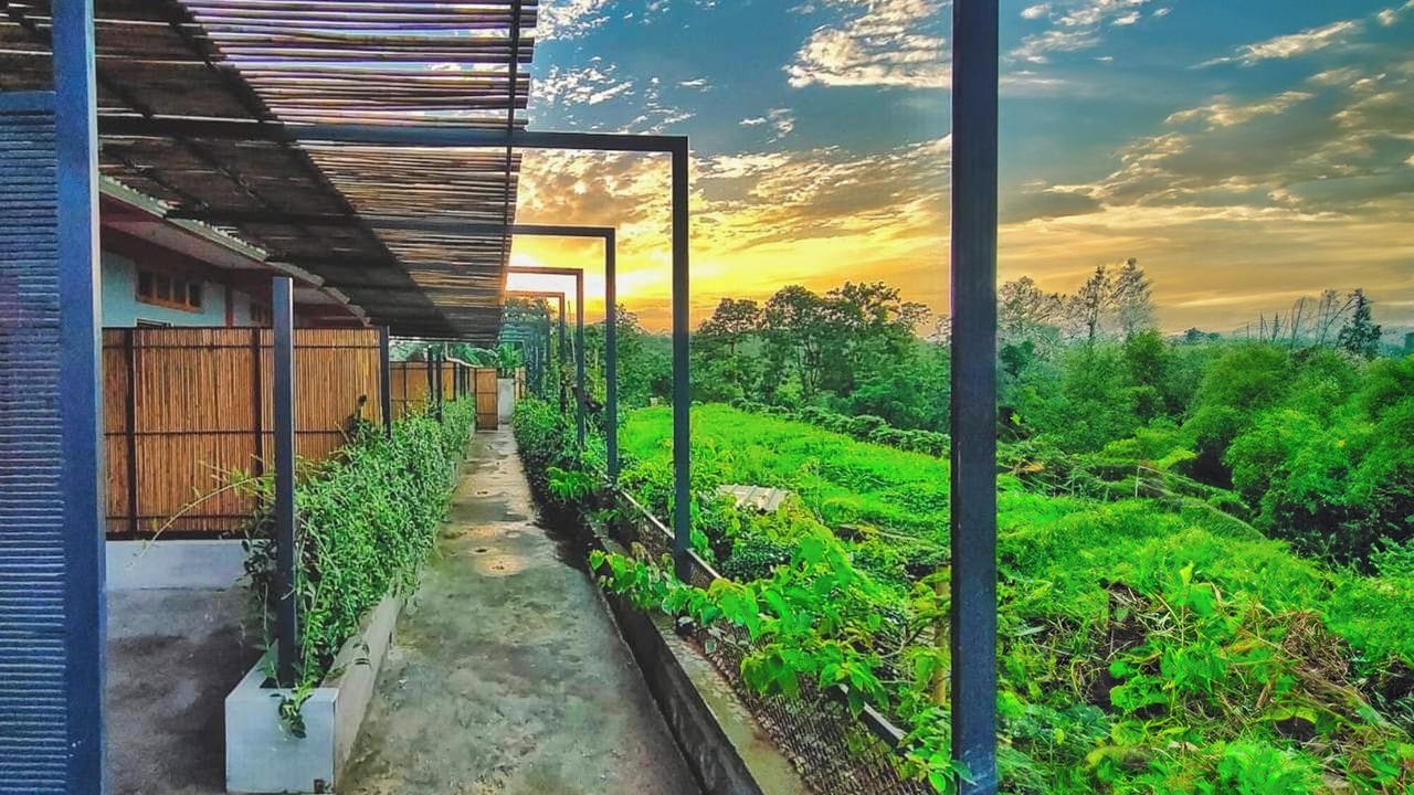 Photo of Outdoor in Bandarban