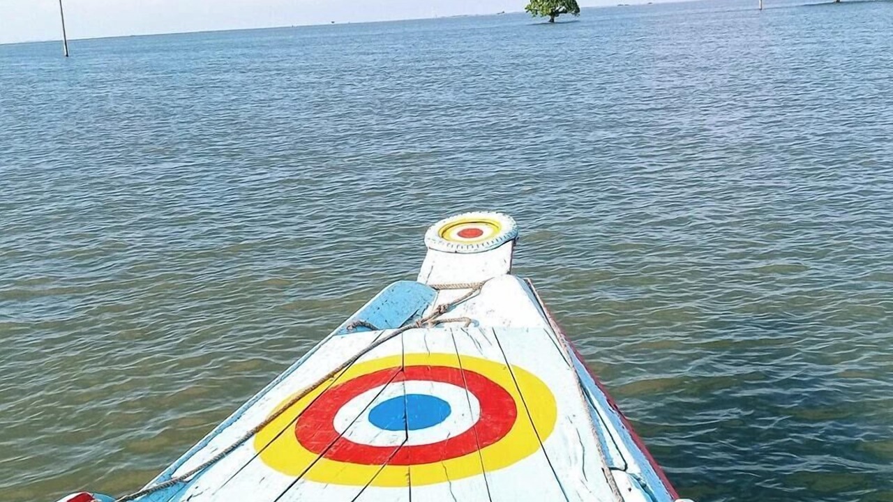 Photo of Outdoor in Dhaka Division