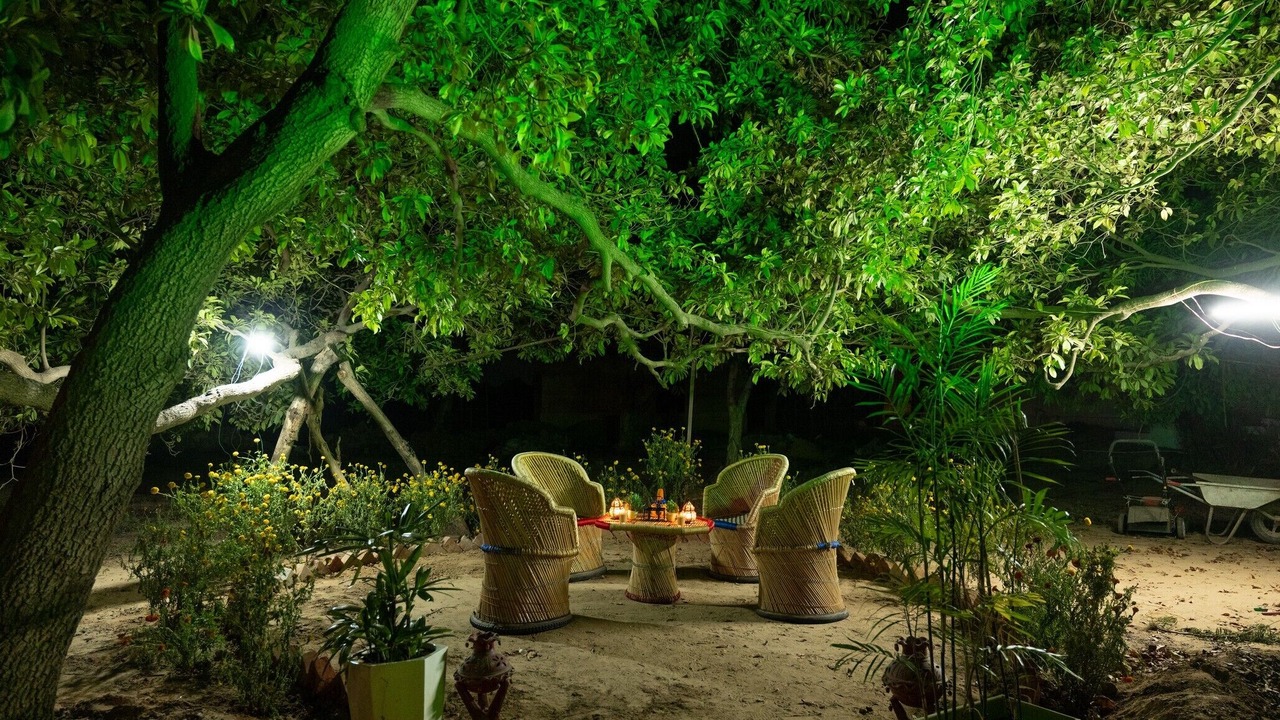 Photo of Outdoor in Nawalgarh