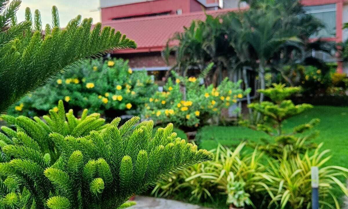 Photo of Outdoor in Cox's Bazar