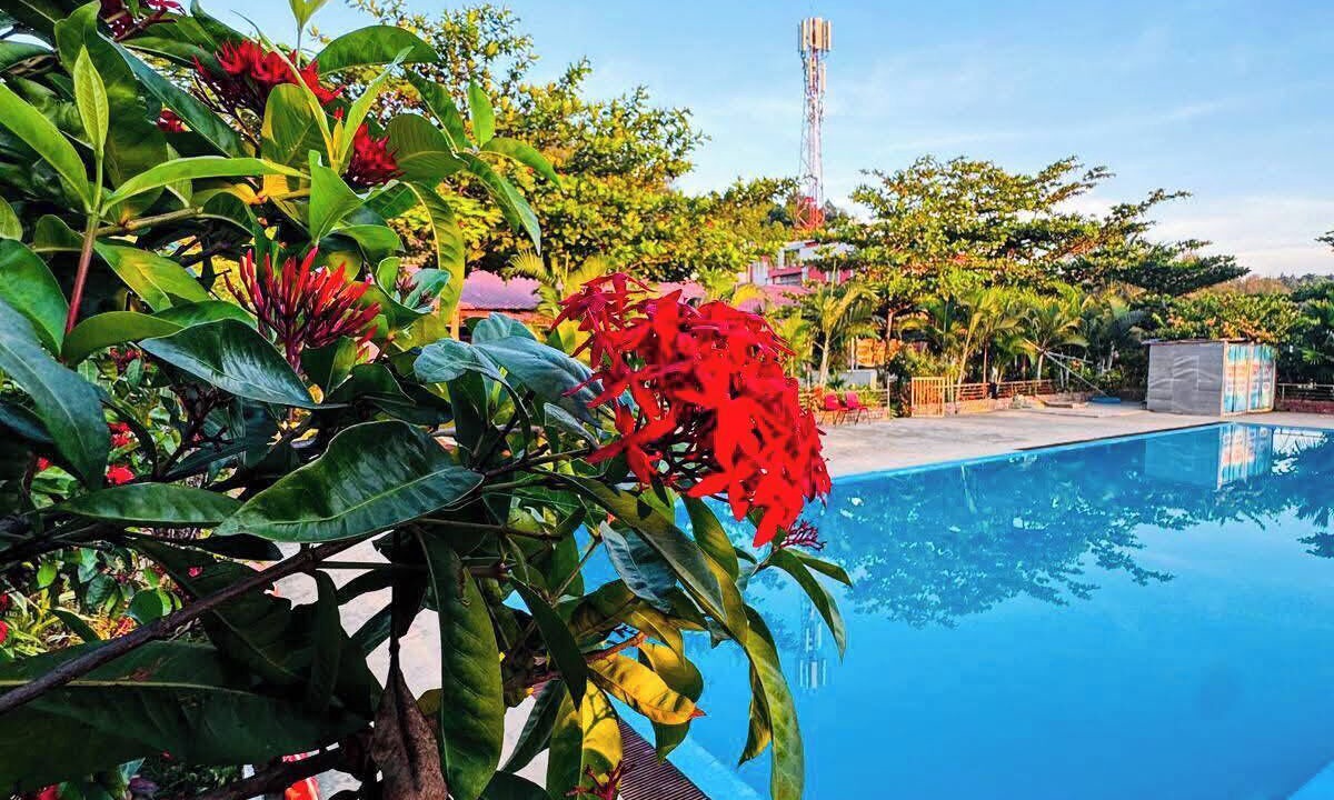 Photo of Outdoor in Cox's Bazar