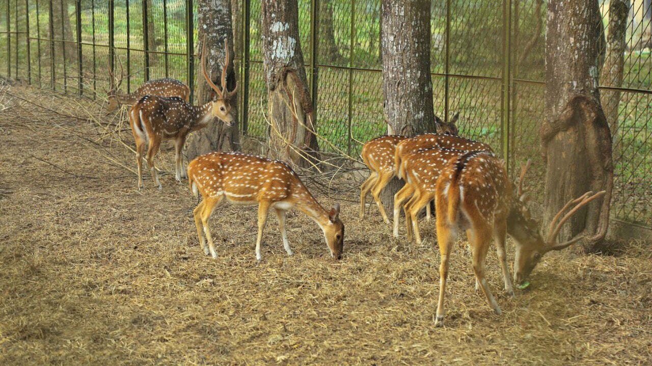 Photo of Outdoor in Nalkura