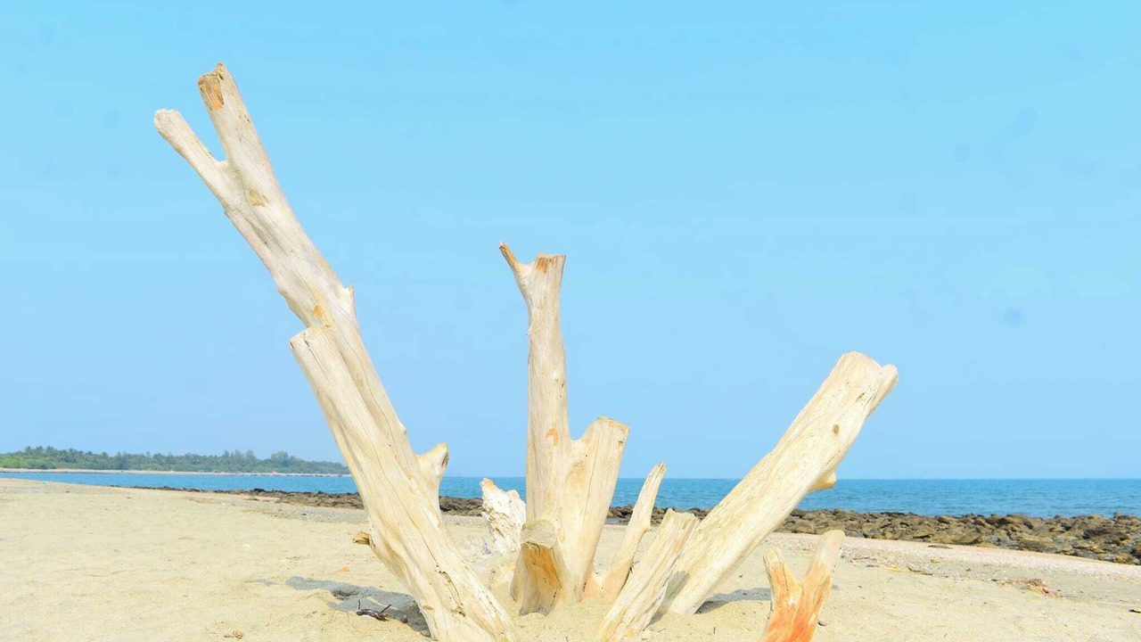 Photo of Outdoor in Saint Martin's Island