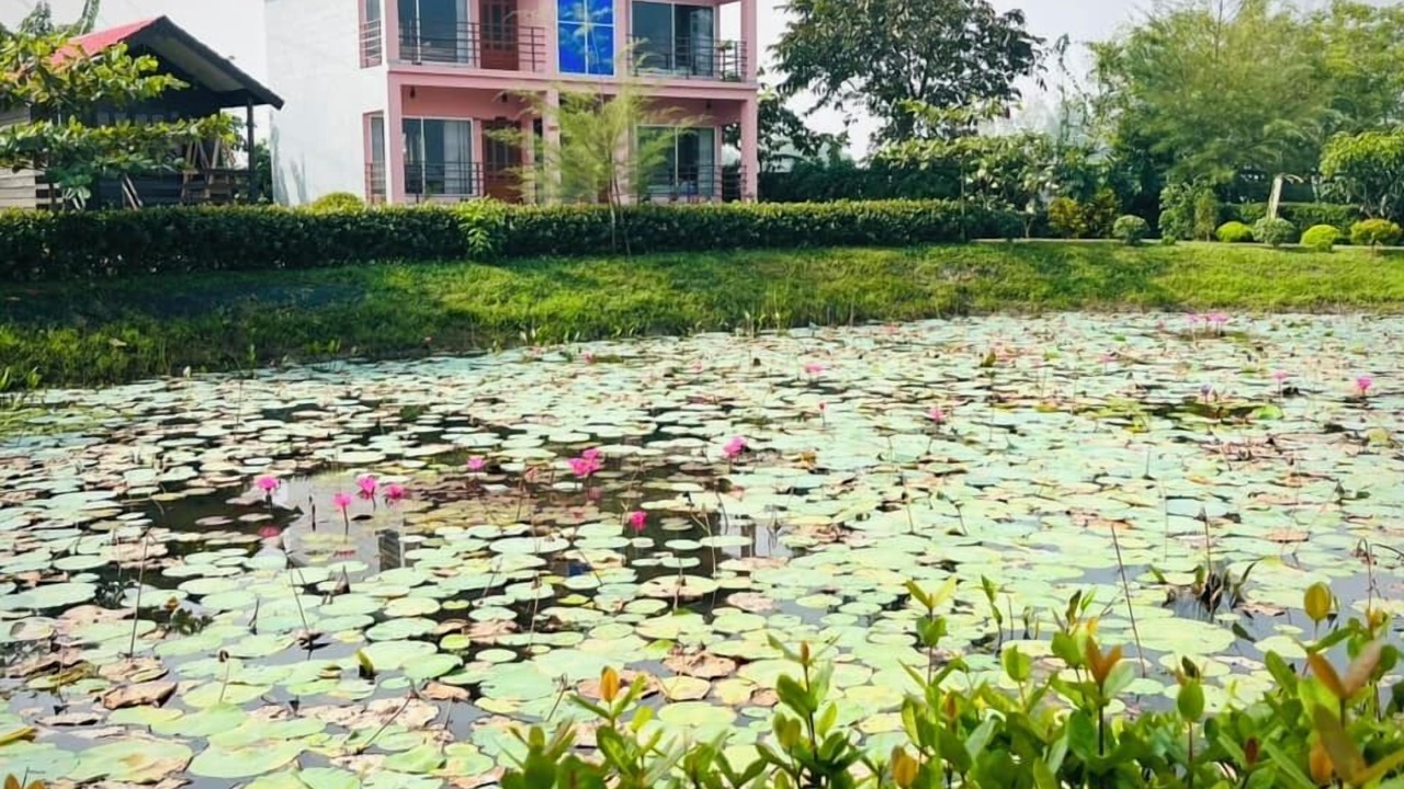 Photo of Outdoor in Sreemangal Upazila