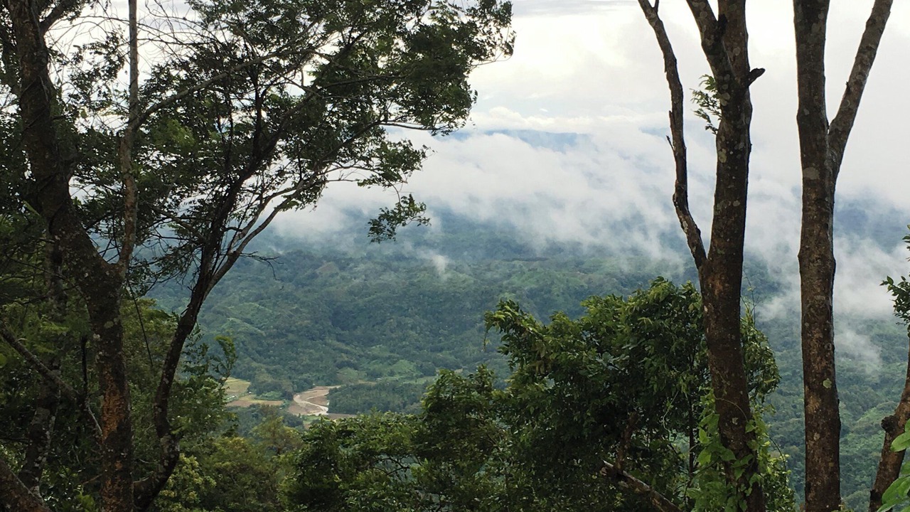 Photo of Outdoor in Bandarban