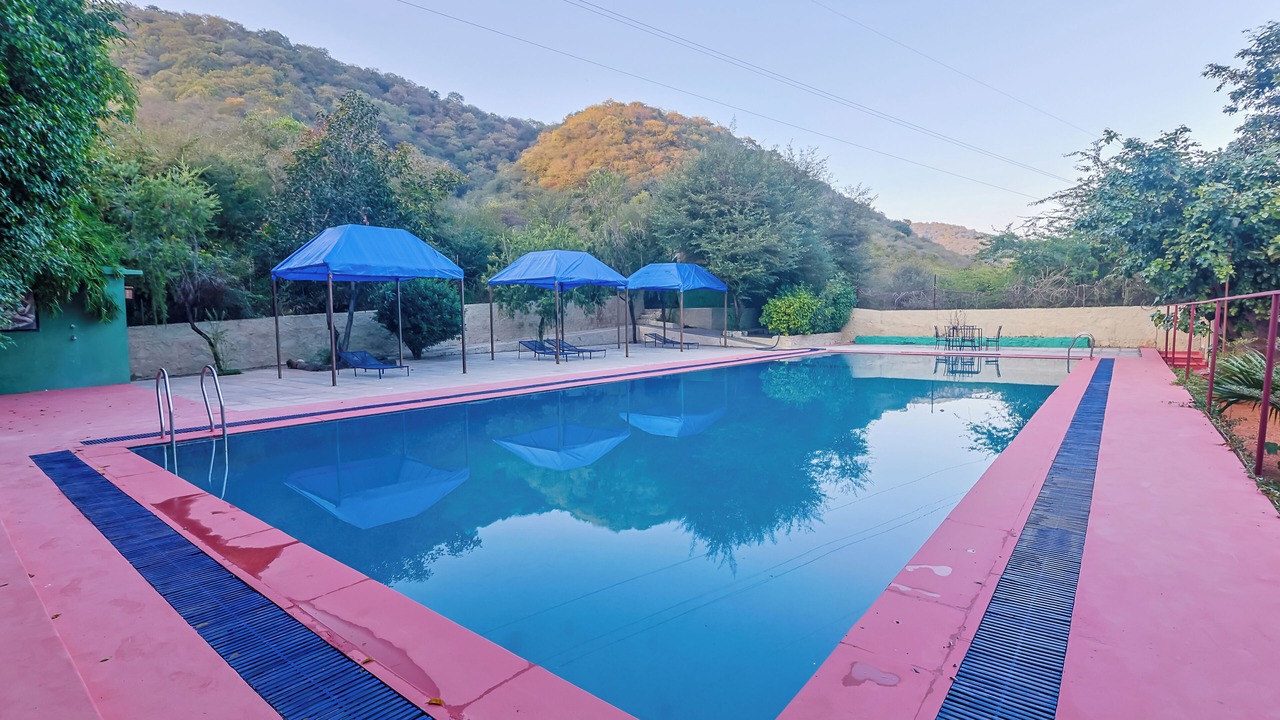 Photo of Outdoor in Sariska