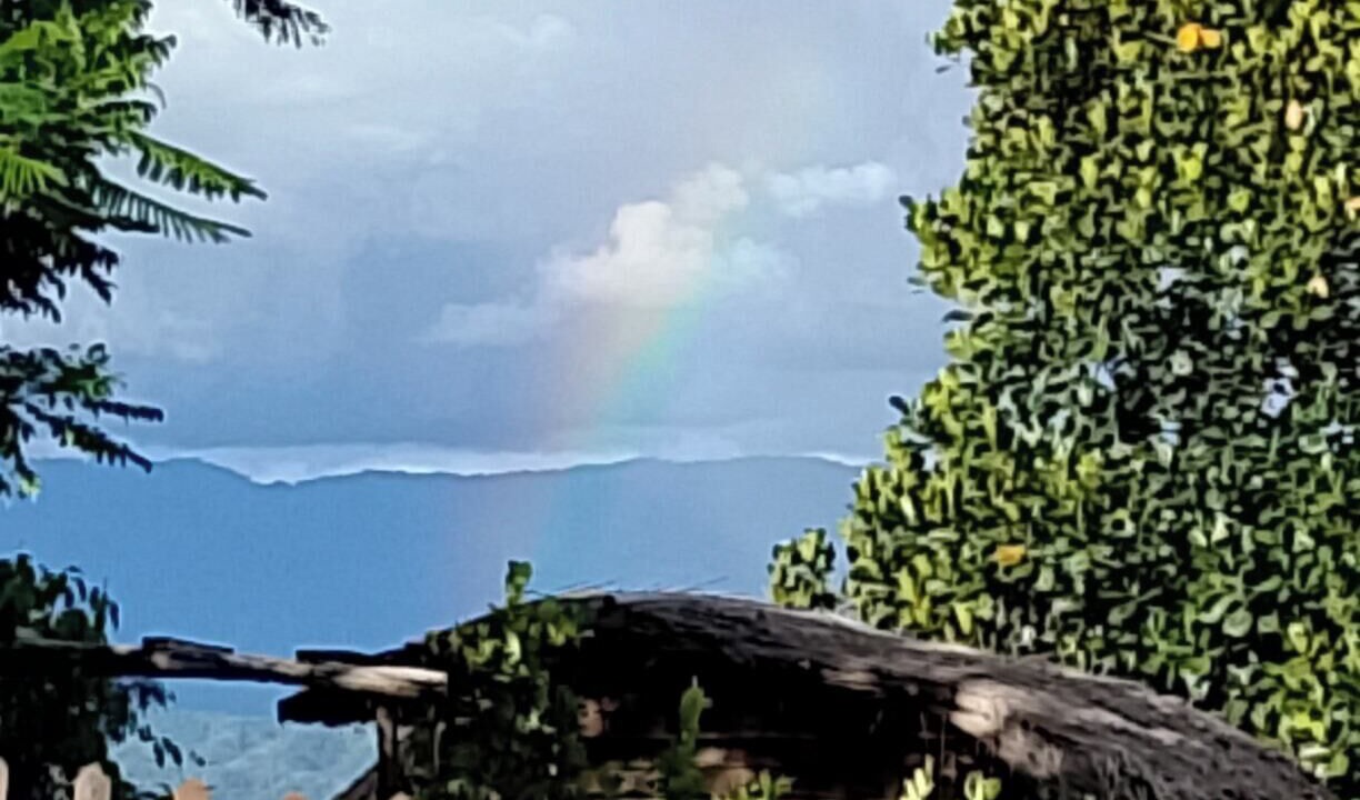 Photo of Outdoor in Sajek