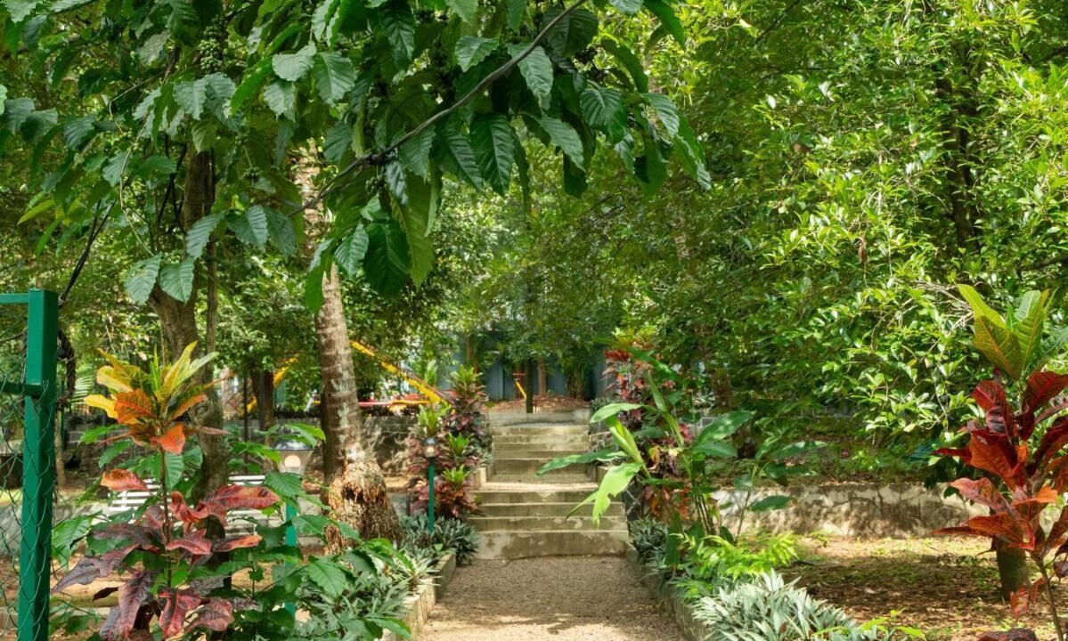 Photo of Outdoor in Lakkidi