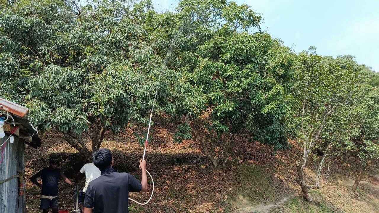 Photo of Outdoor in Sreemangal