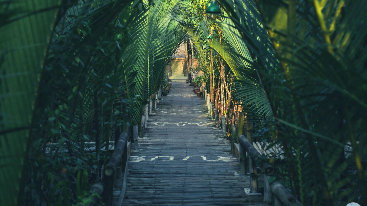 Photo of Outdoor in Khulna Division
