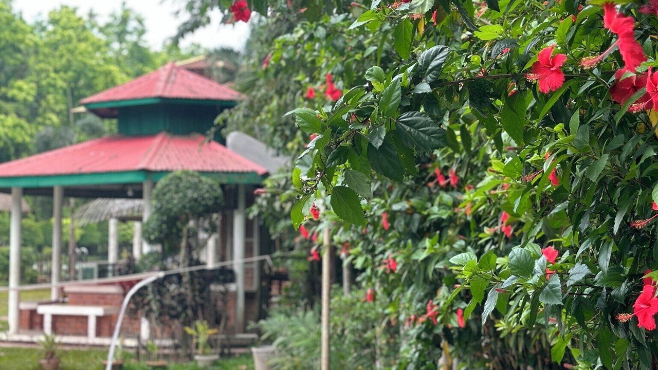 Photo of Outdoor in Pirozali