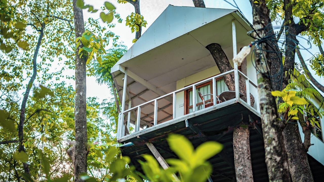 Photo of Outdoor in Bandarban