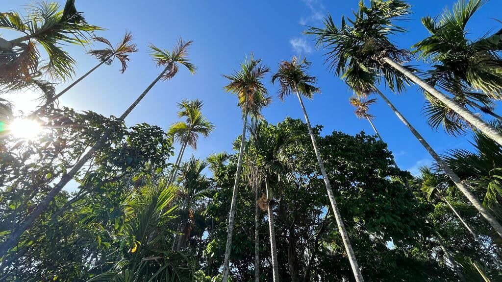 Photo of Outdoor in Dapoli
