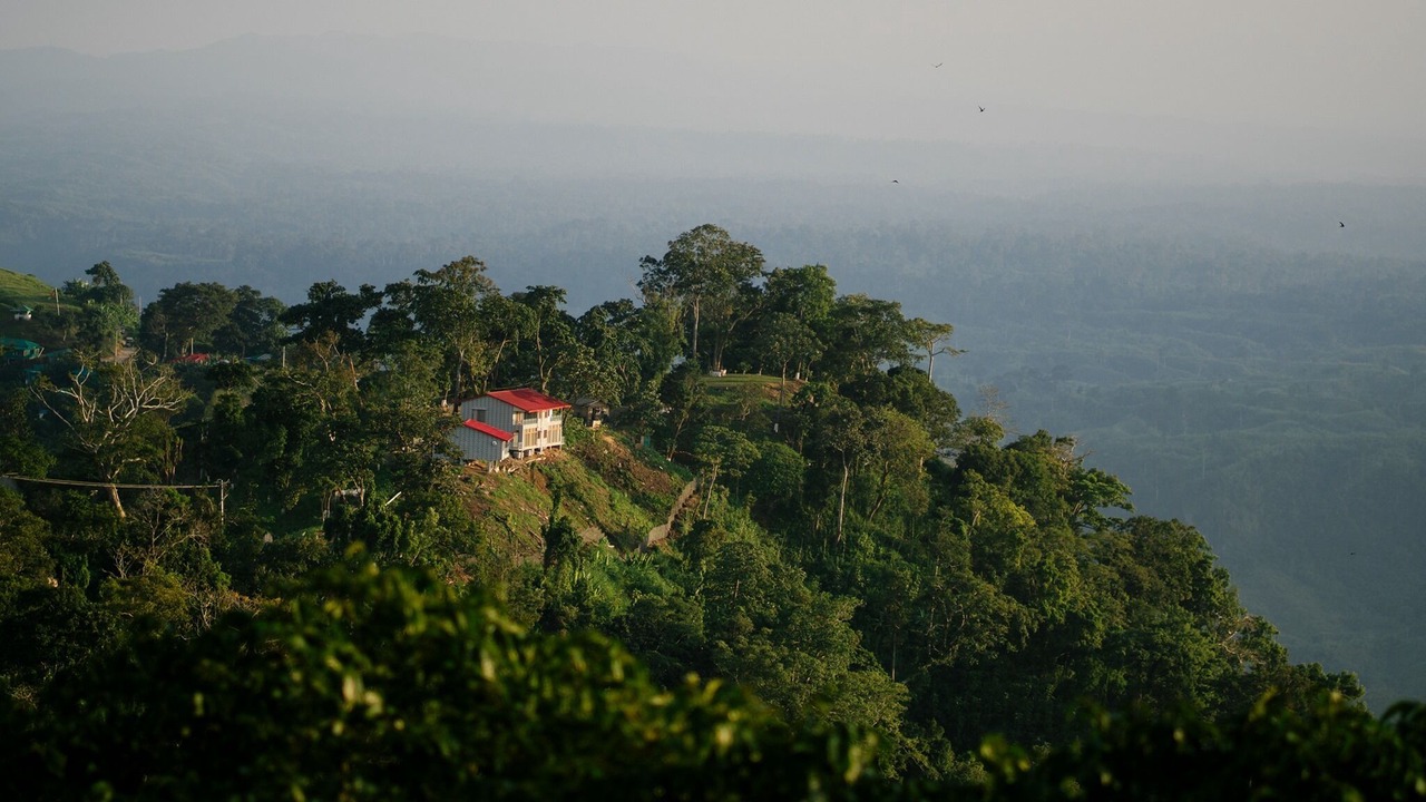 Photo of Outdoor in Sajek