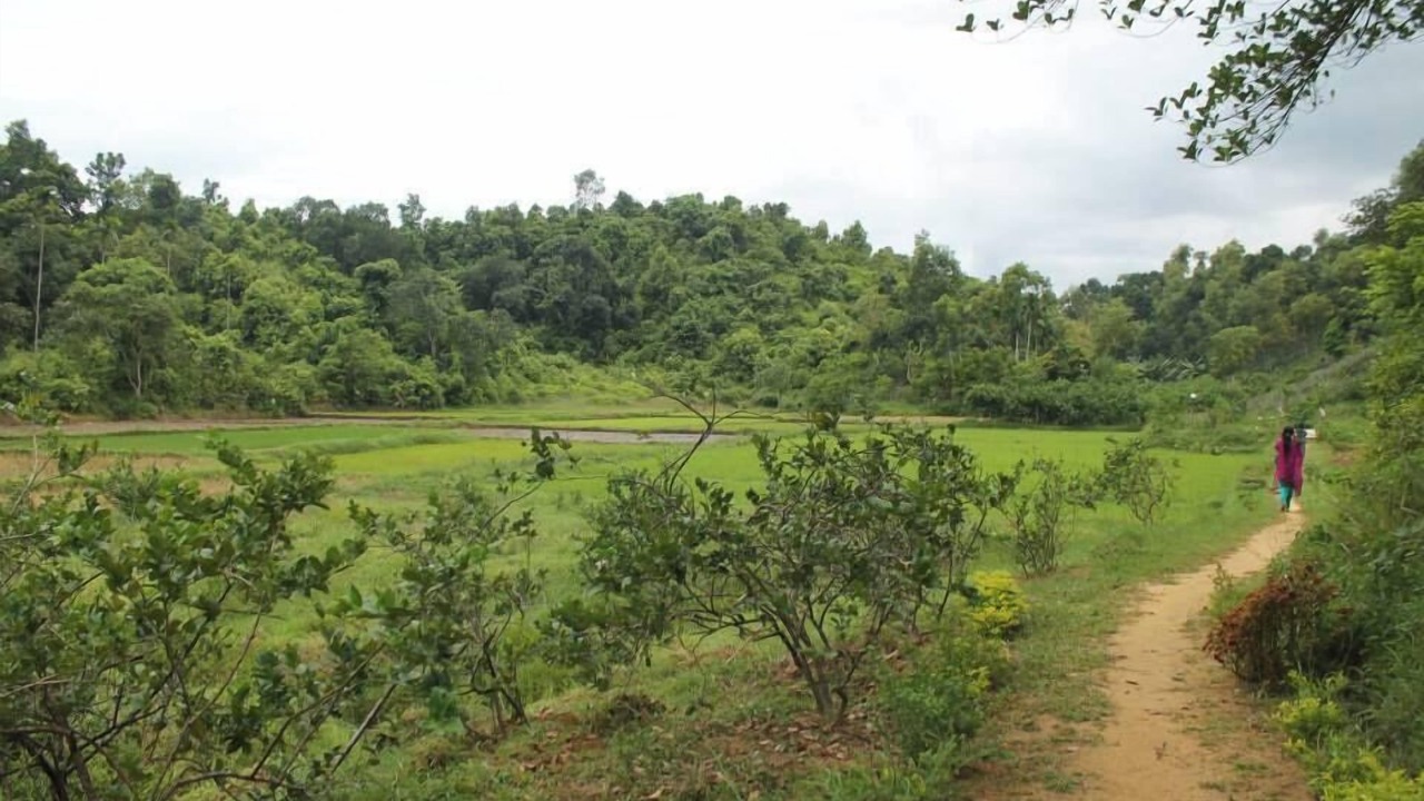 Photo of Outdoor in Sreemangal Upazila