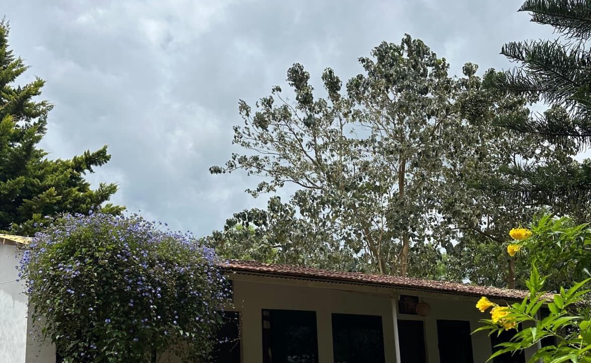 Photo of Outdoor in Masinagudi