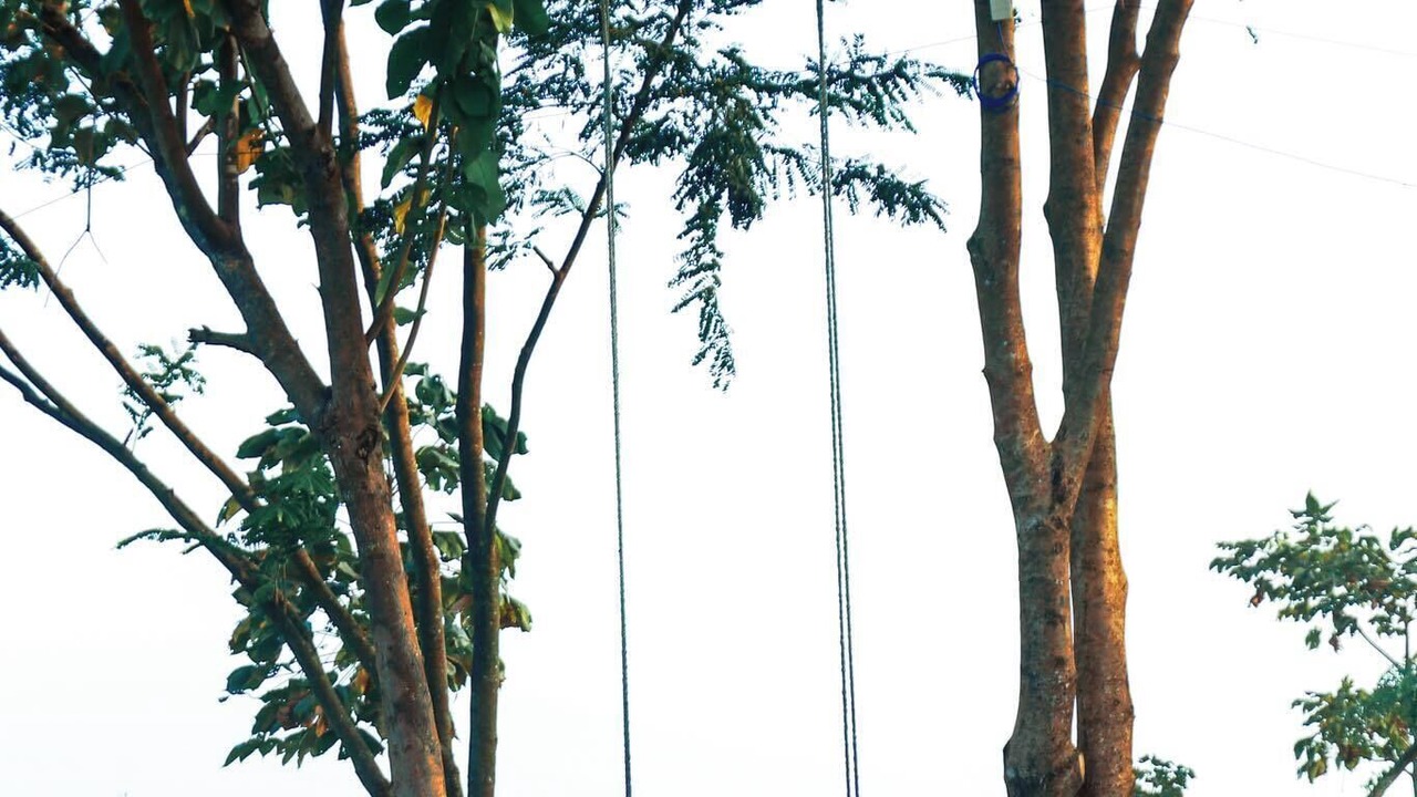 Photo of Outdoor in Bandarban