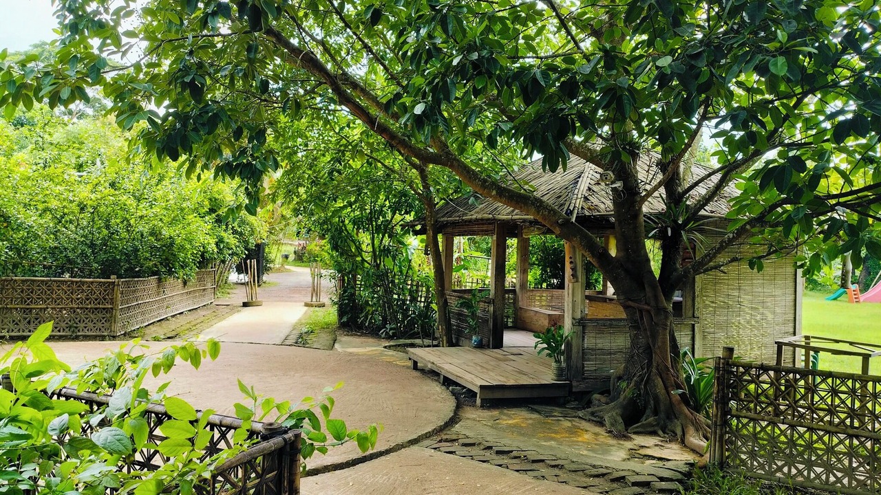 Photo of Outdoor in Bandarban