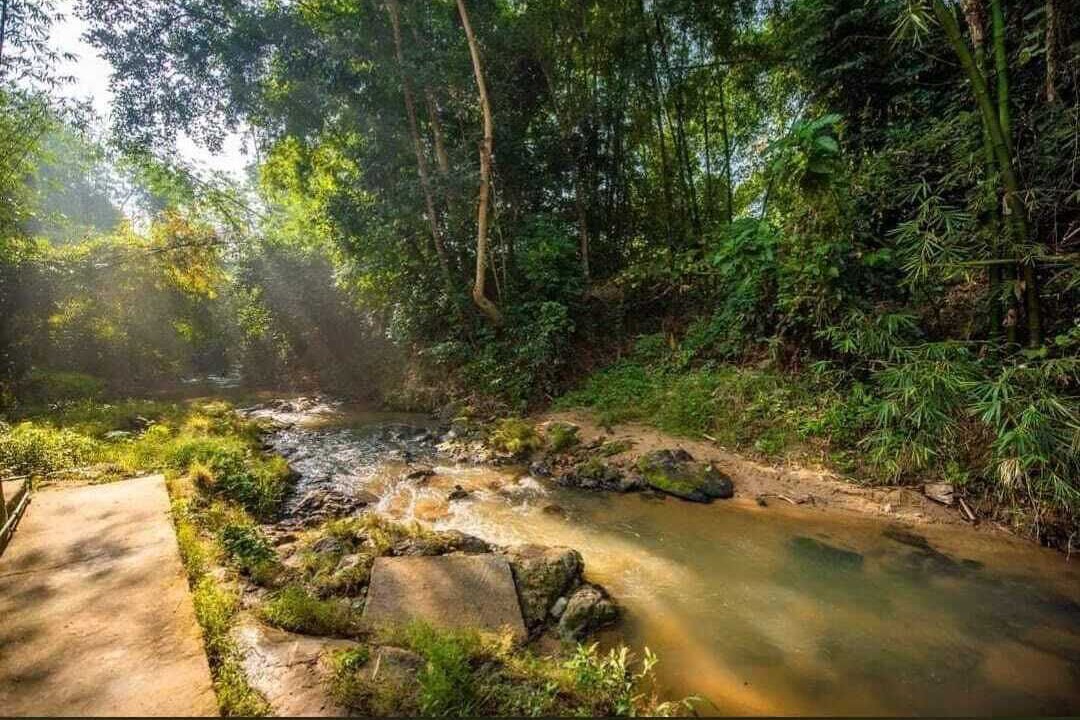 Photo of Outdoor in Sreemangal Upazila