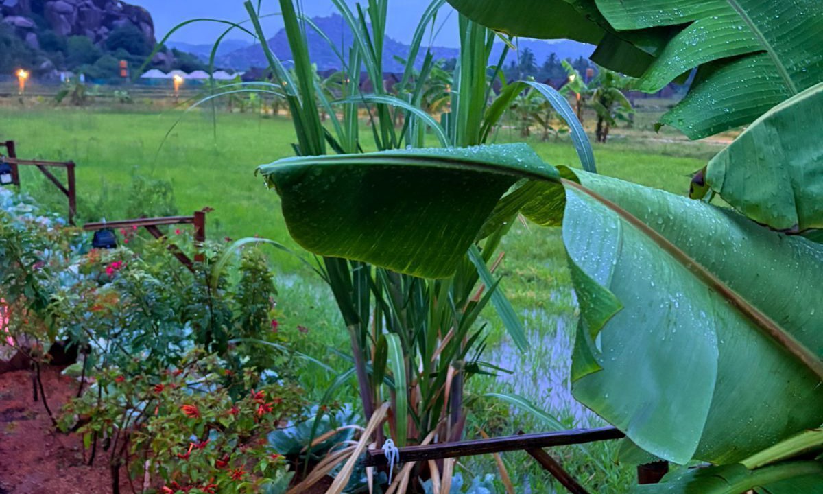 Photo of Outdoor in Hampi