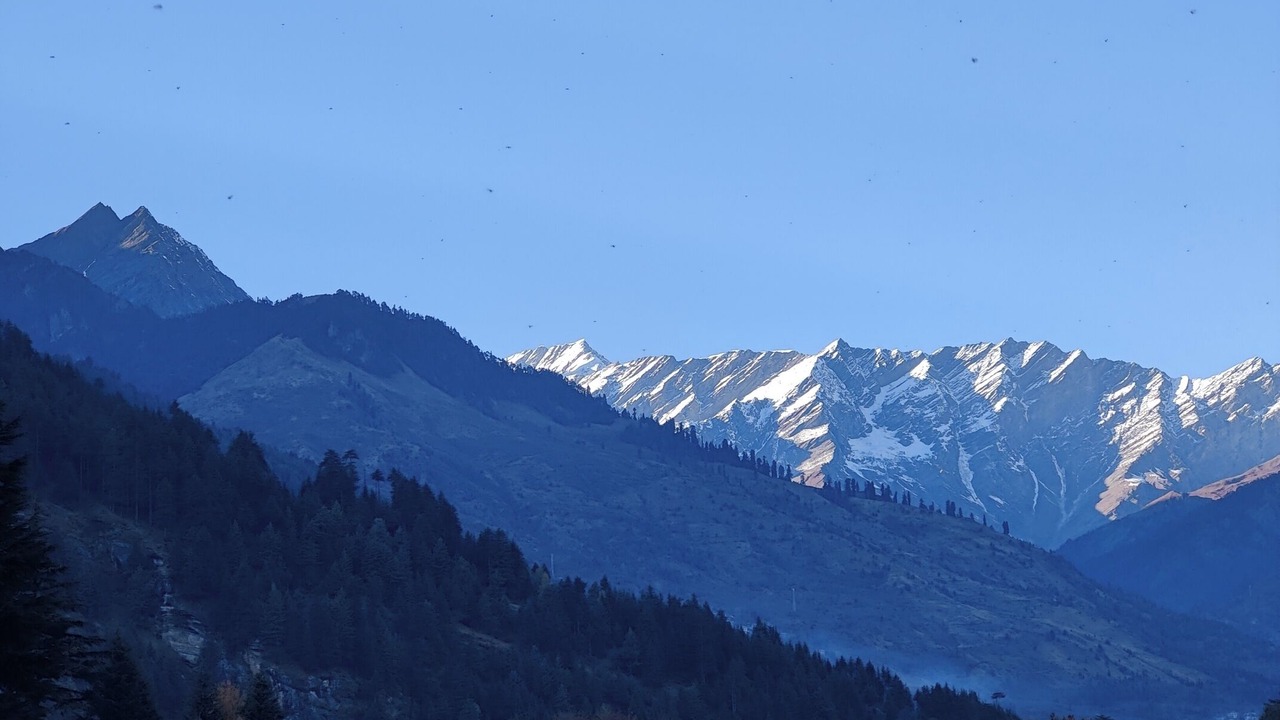 Photo of Patio Balcony in New Manali