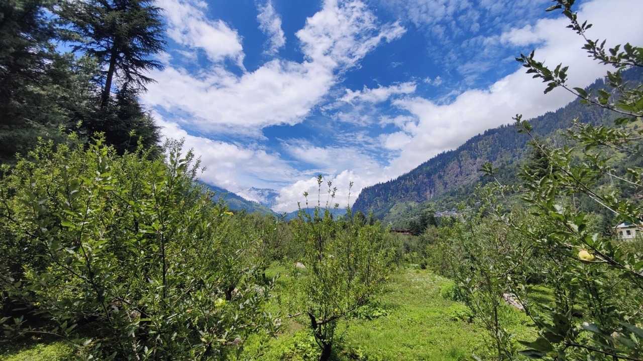 Photo of Patio Balcony in New Manali