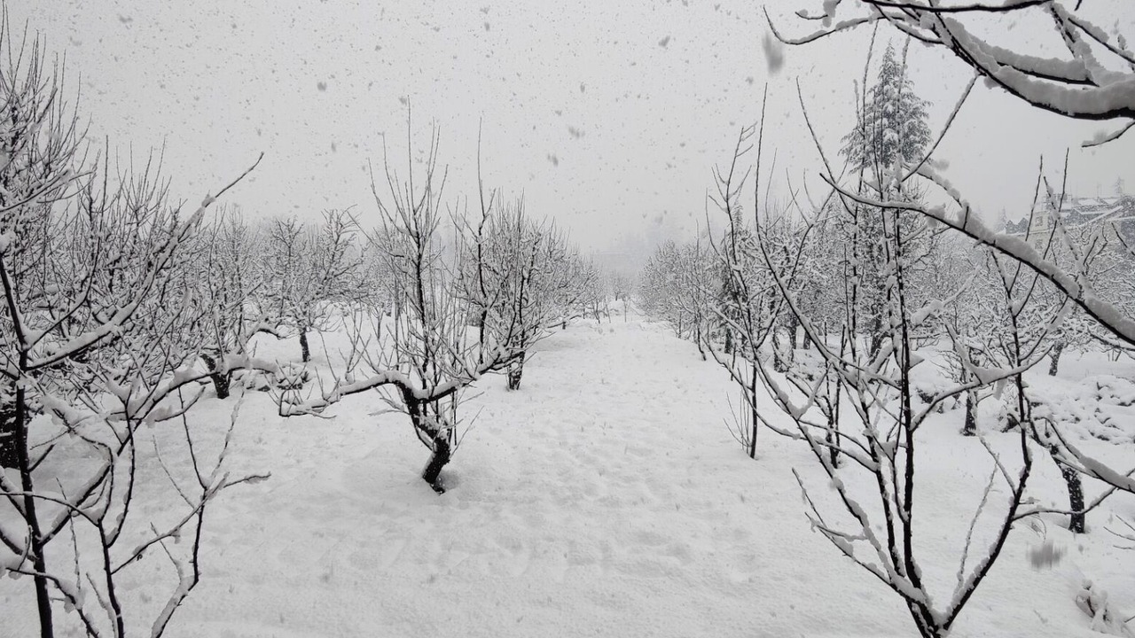 Photo of Outdoor in New Manali