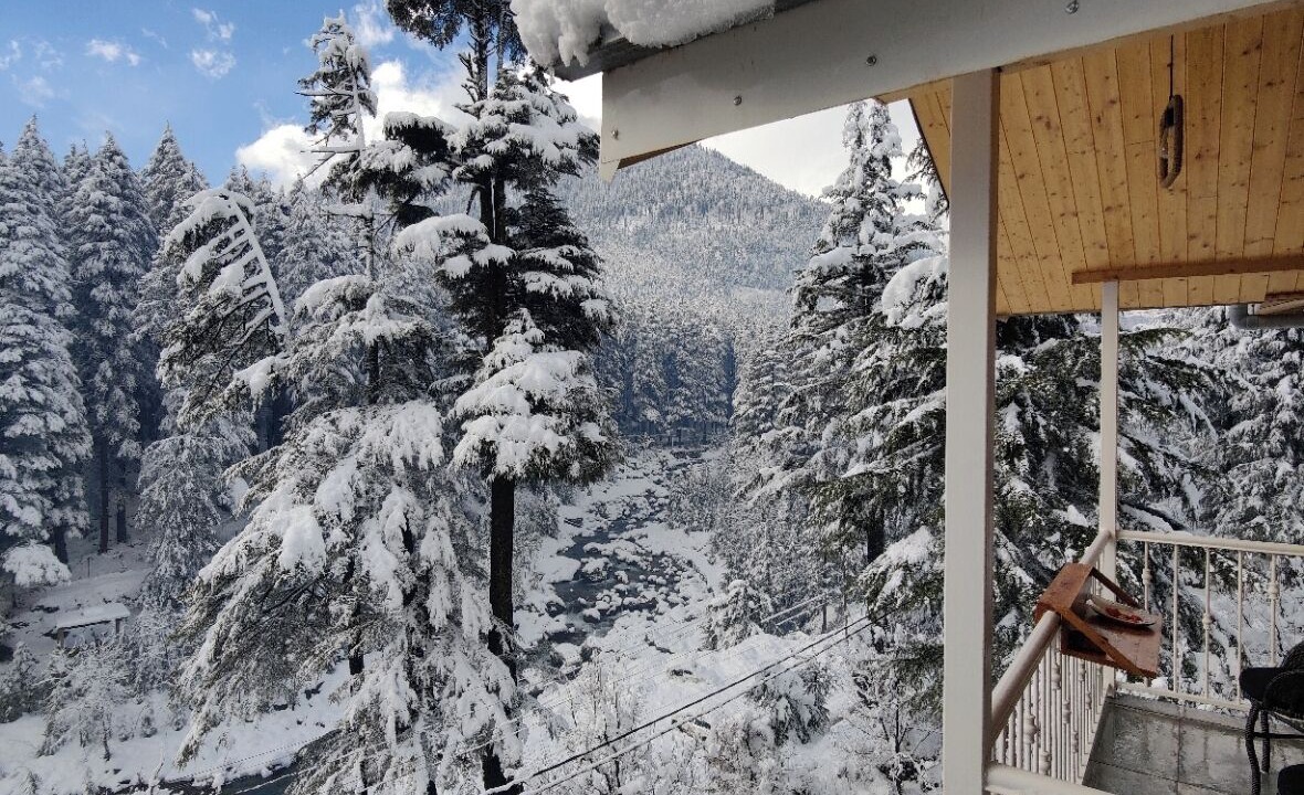 Photo of Others in New Manali