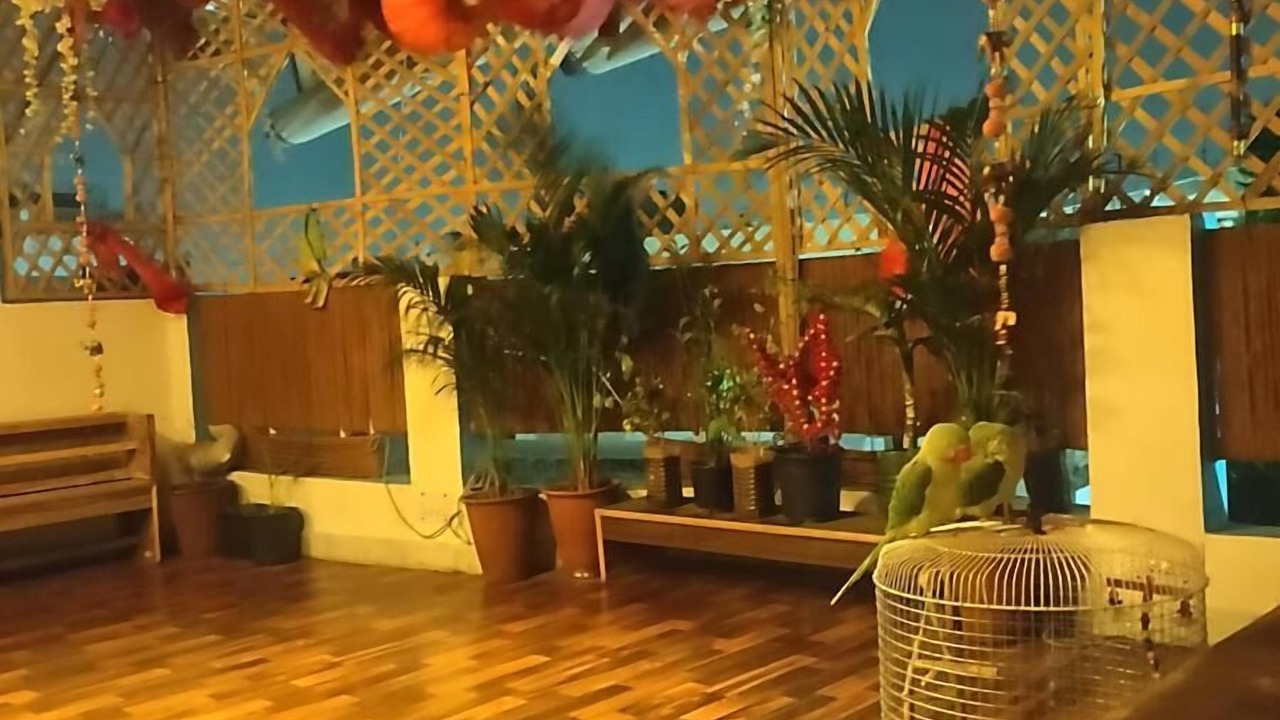 Photo of Livingroom in Civil Lines