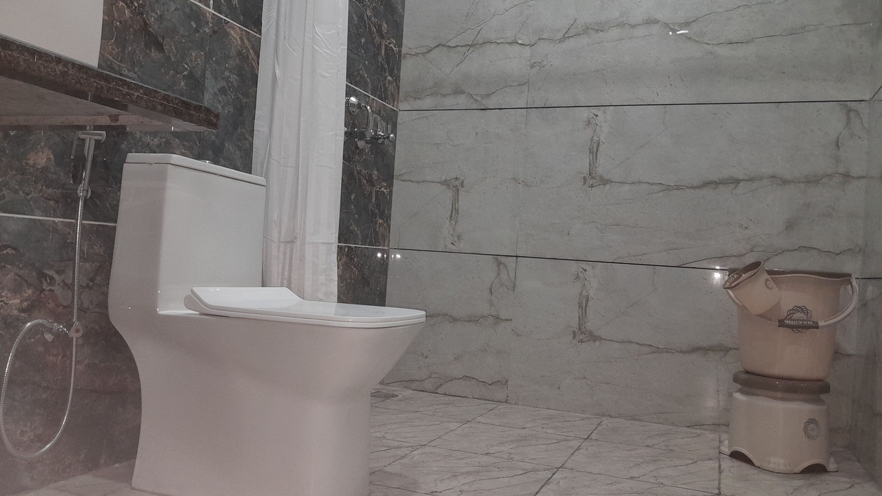 Photo of Bathroom in Bikaner
