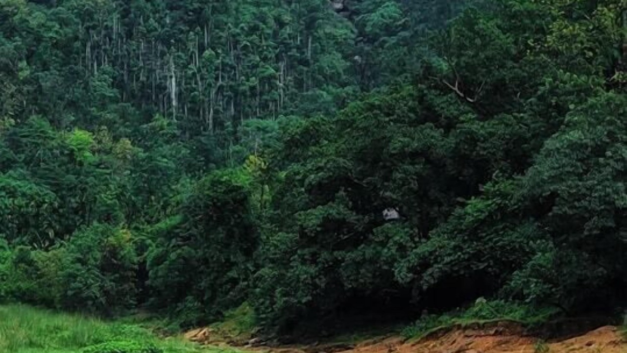 Photo of Outdoor in Sylhet