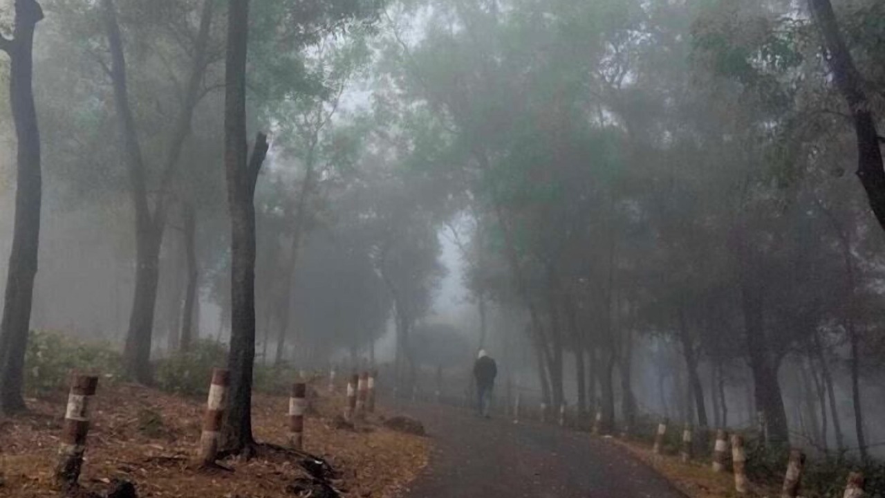 Photo of Outdoor in Sylhet