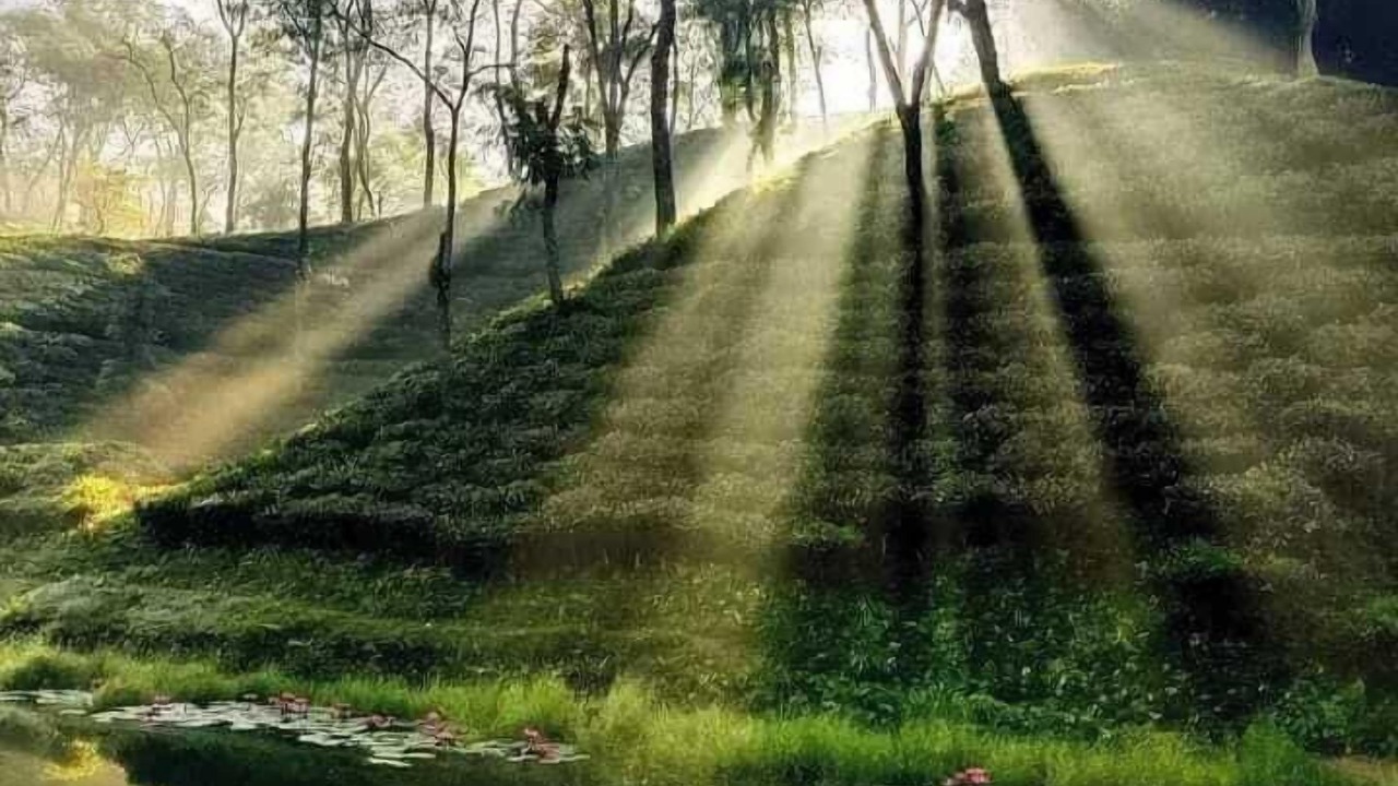 Photo of Outdoor in Sylhet