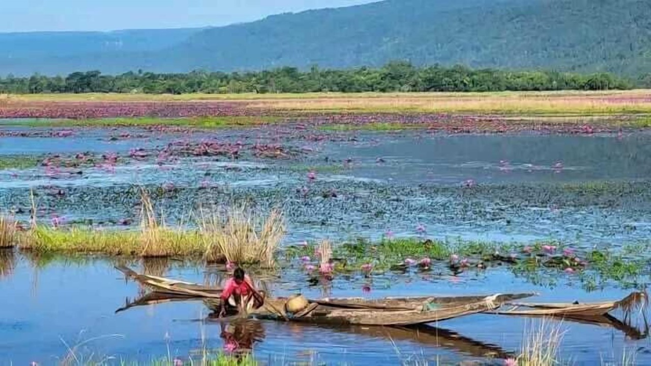 Photo of Outdoor in Sylhet