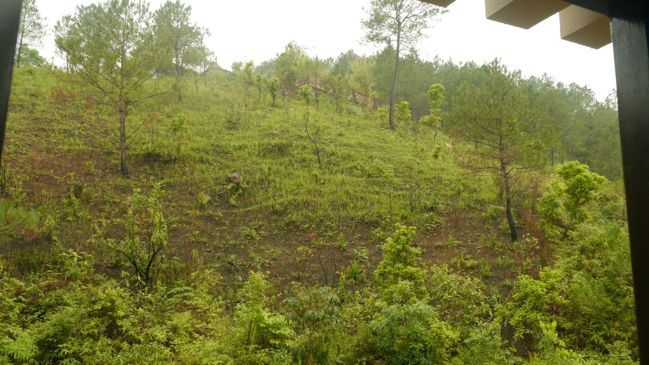 Photo of Patio Balcony in Shillong